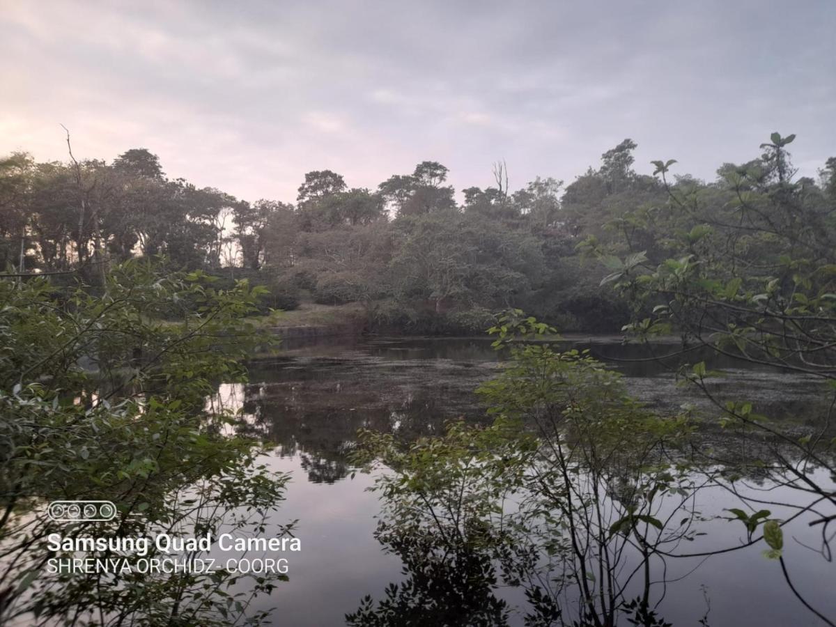 Shrenya Orchidz-Coorg Nature Stay Мадикери Экстерьер фото