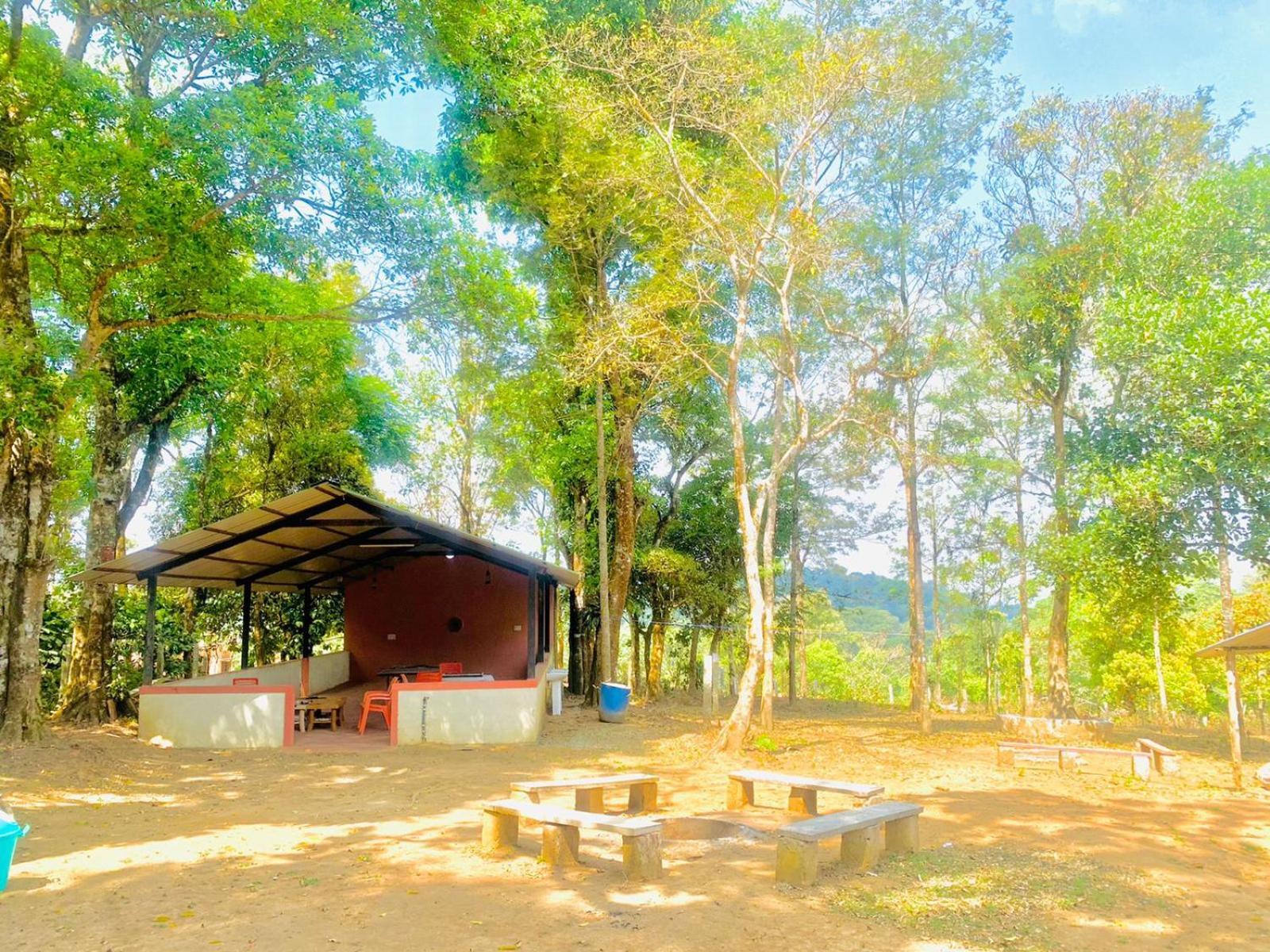 Shrenya Orchidz-Coorg Nature Stay Мадикери Экстерьер фото
